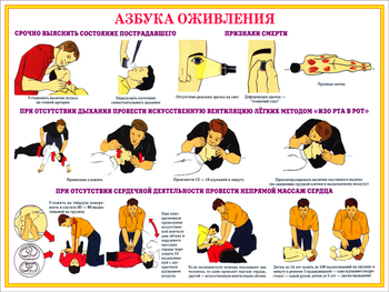 ПВ05 Первая медицинская помощь при чрезвычайных ситуациях (пластик, А3, 9 листов) - Плакаты - Медицинская помощь - Магазин охраны труда Протекторшоп